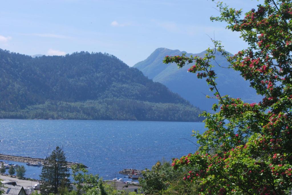 Sjoholt Camping Екстер'єр фото
