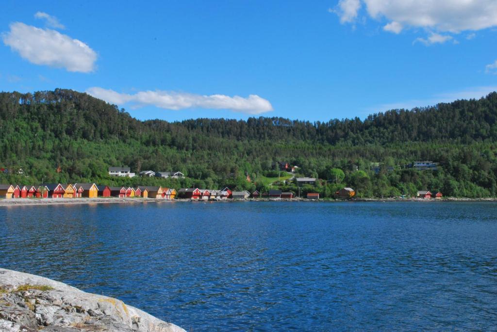 Sjoholt Camping Екстер'єр фото